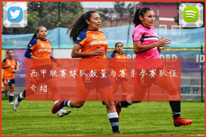 西甲联赛球队数量与赛季参赛队伍介绍