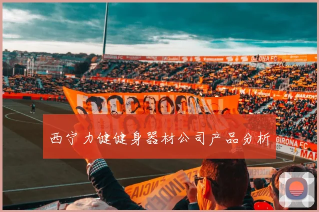 西宁力健健身器材公司产品分析