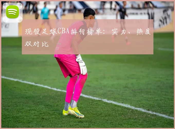 现役足球CBA排行榜单：实力、热度双对比