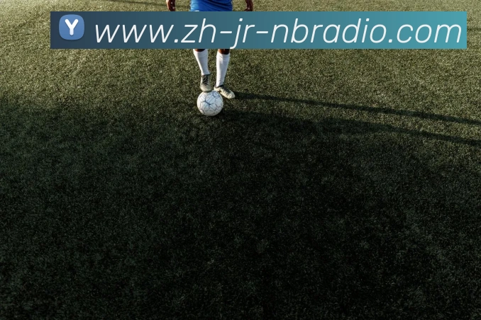 纬来体育全站App